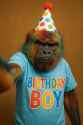 20250626_0958_Grumpy Birthday Selfie_simple_compose_01jypbwfa4fzjb266f4gqadwnv