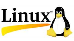 linux1-1