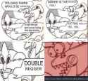 double_regger