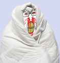 feralrageComfyFork