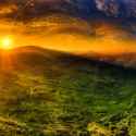 pepesunset