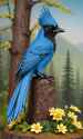bird