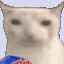 cat-eating-chips