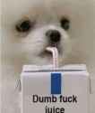 dumb fuck juice