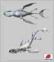 raitt-fish