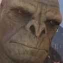 brute gorilla
