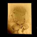 977254-untitled_081050