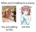 talkingtoatranny