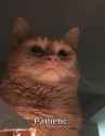 pathetic_20250710131748