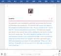 CNWordTheme