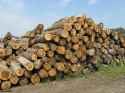 grok logs