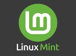 linuxmint-1-1024x768