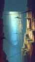 _3f1602ad-3428-4517-a59c-c46139b216b1