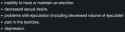 17 KB