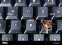 204 KB