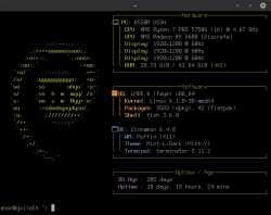 14 KB
