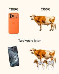 220 KB
