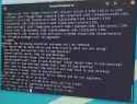 1.5 MB