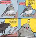 513 KB