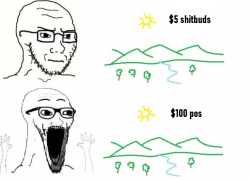 246 KB