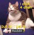 130 KB