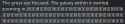 167 KB