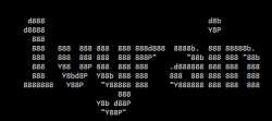 5 KB