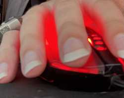 195 KB