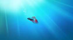 69 KB