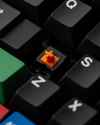 259 KB