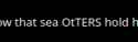 2 KB
