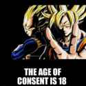 153 KB