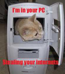 57 KB