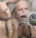 494 KB