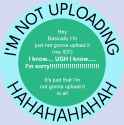 233 KB