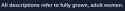15 KB