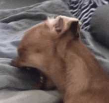 18 KB