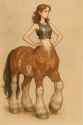 317 KB