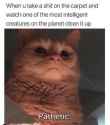 26 KB