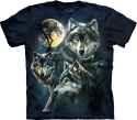 117 KB