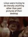 2.03 MB
