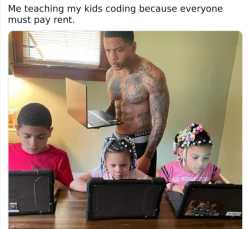 499 KB