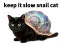 156 KB
