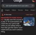 59 KB