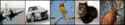 19 KB
