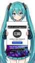 1.23 MB