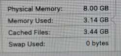 1.31 MB