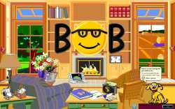 243 KB