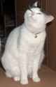 193 KB