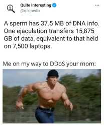 300 KB